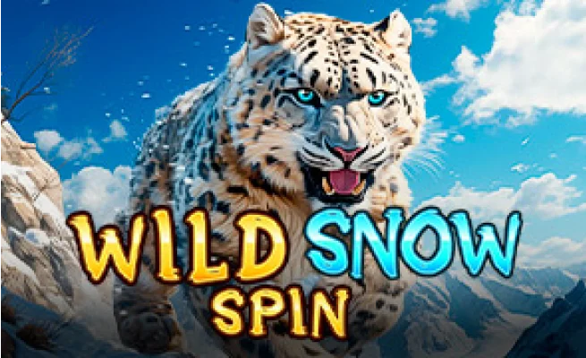 Wild Snow Spin